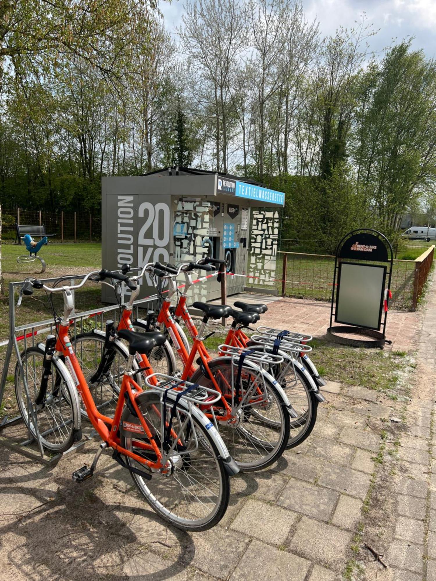 Chalet Quattro In Bosrijke Omgeving Anloo Kültér fotó
